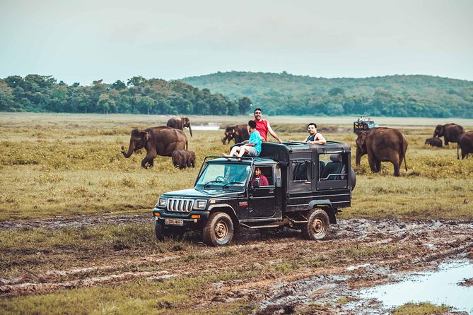Private safari 4x4 adventure