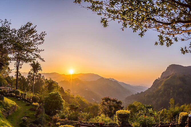 Sri Lankan safari sunset